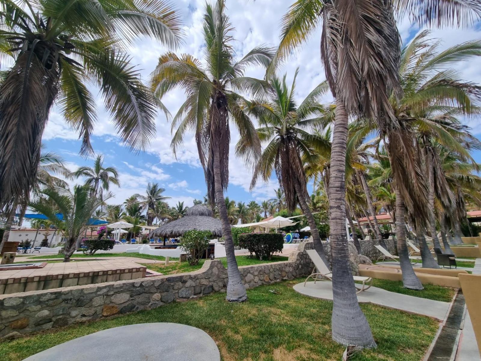 Buena Vista Oceanfront & Hot Springs Resort Buenavista  Eksteriør billede